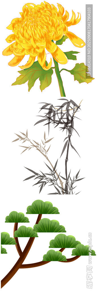 花卉与植物组合插画