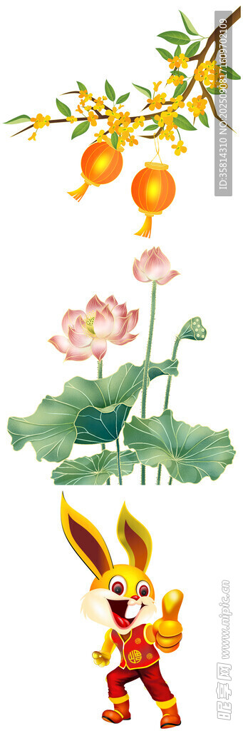 玉兔赏荷图