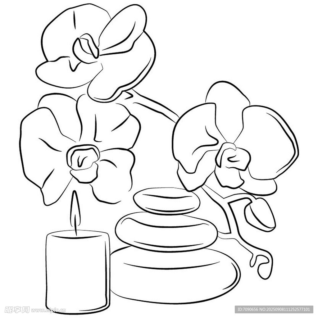 兰花与石摆件插画