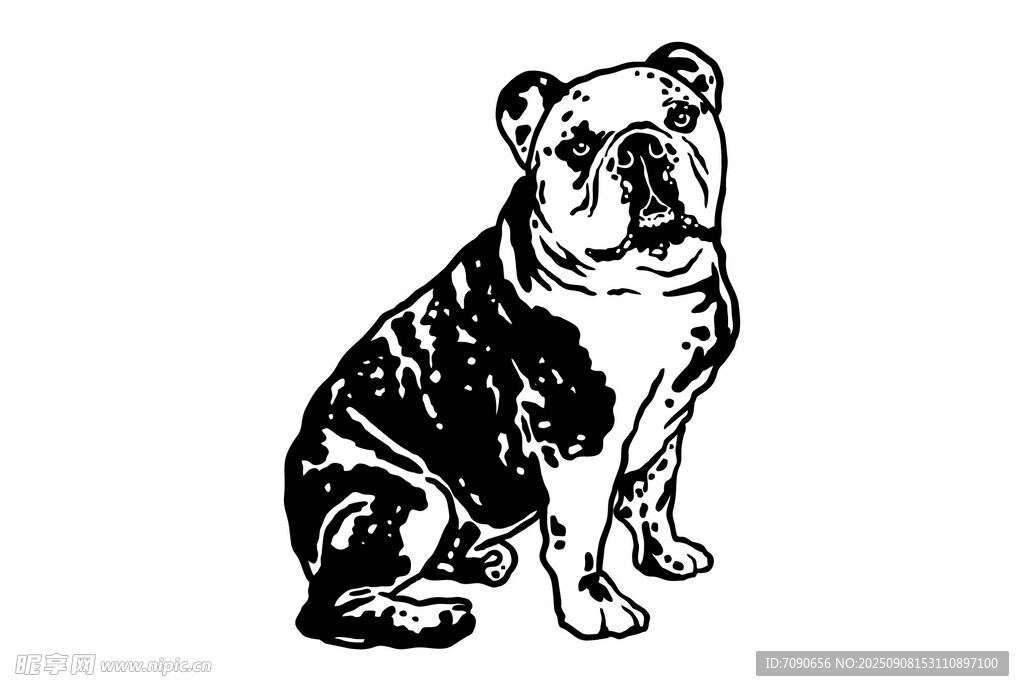 坐着的斗牛犬插画