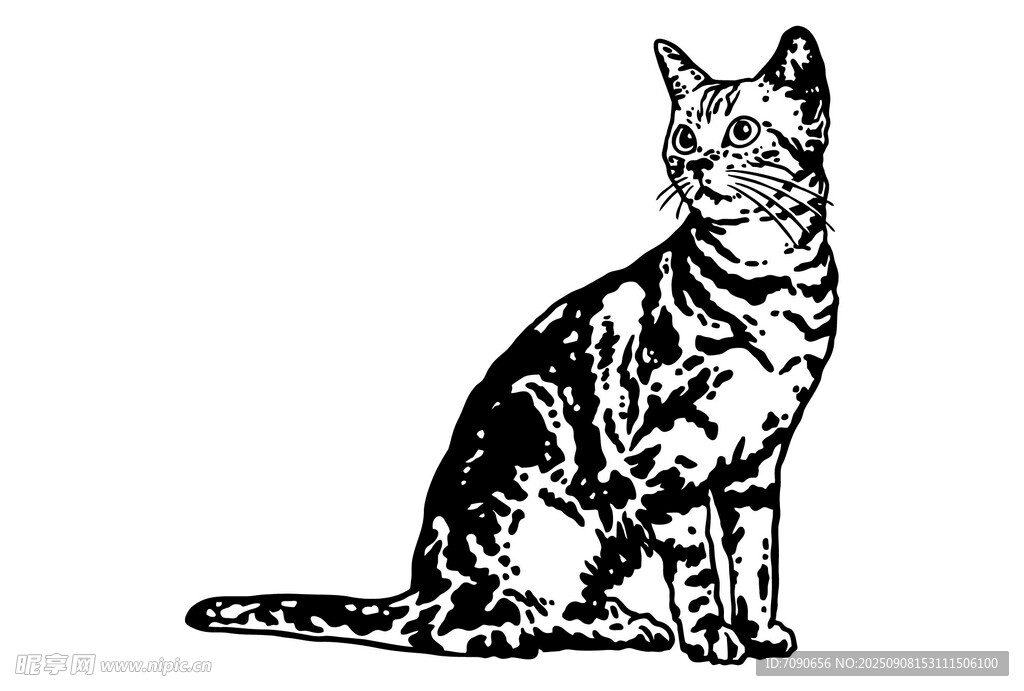 坐姿优雅的斑纹猫咪
