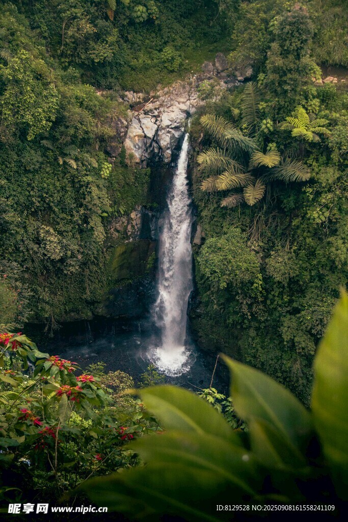 山间瀑布绿意环绕的美景