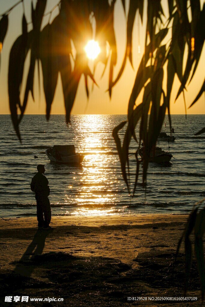 夕阳下的海边独行者