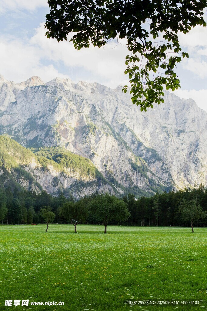 绿野青山间的自然美景