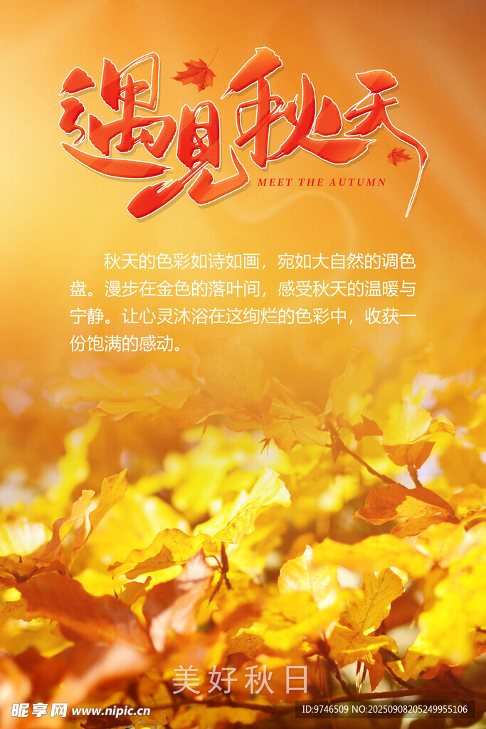 遇见秋天