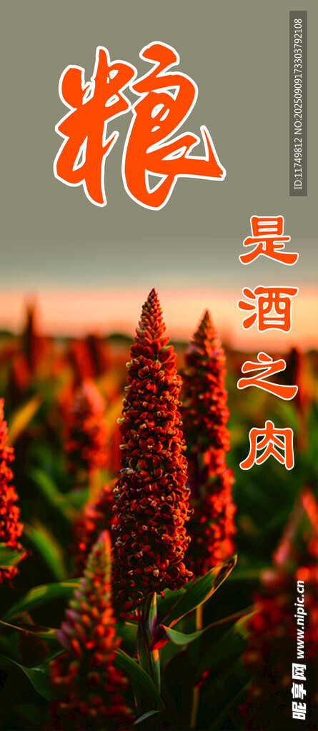 高粱