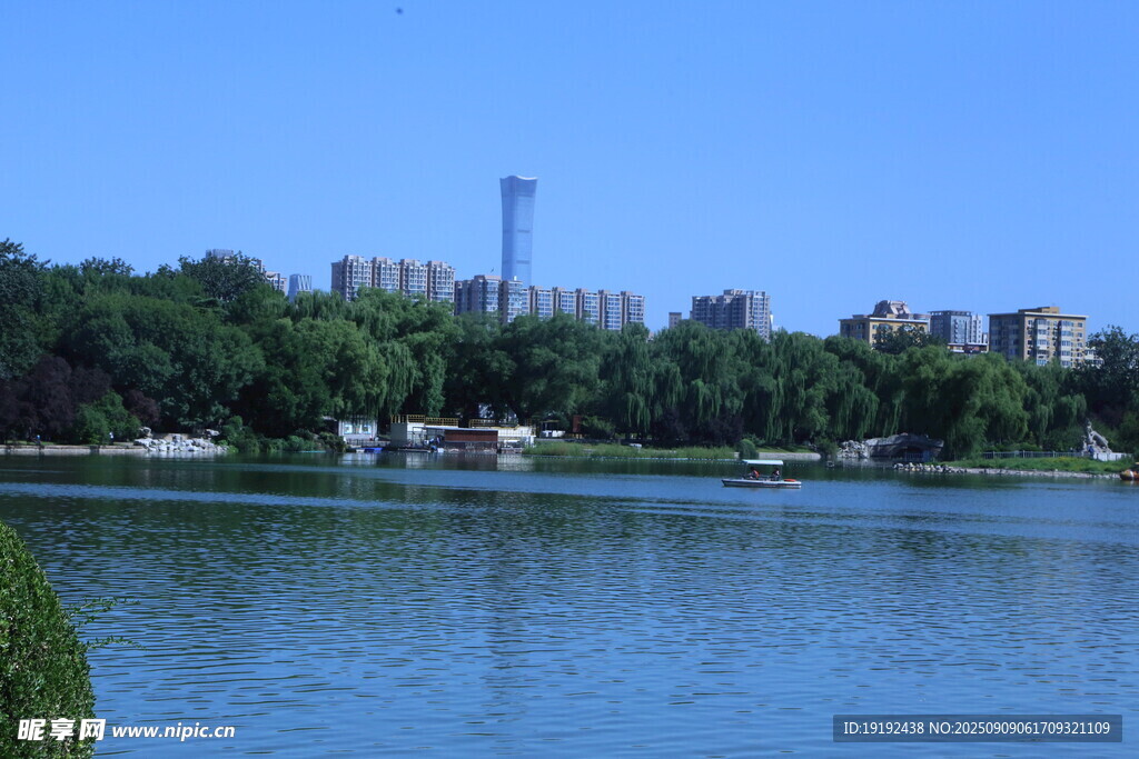 公园风景  