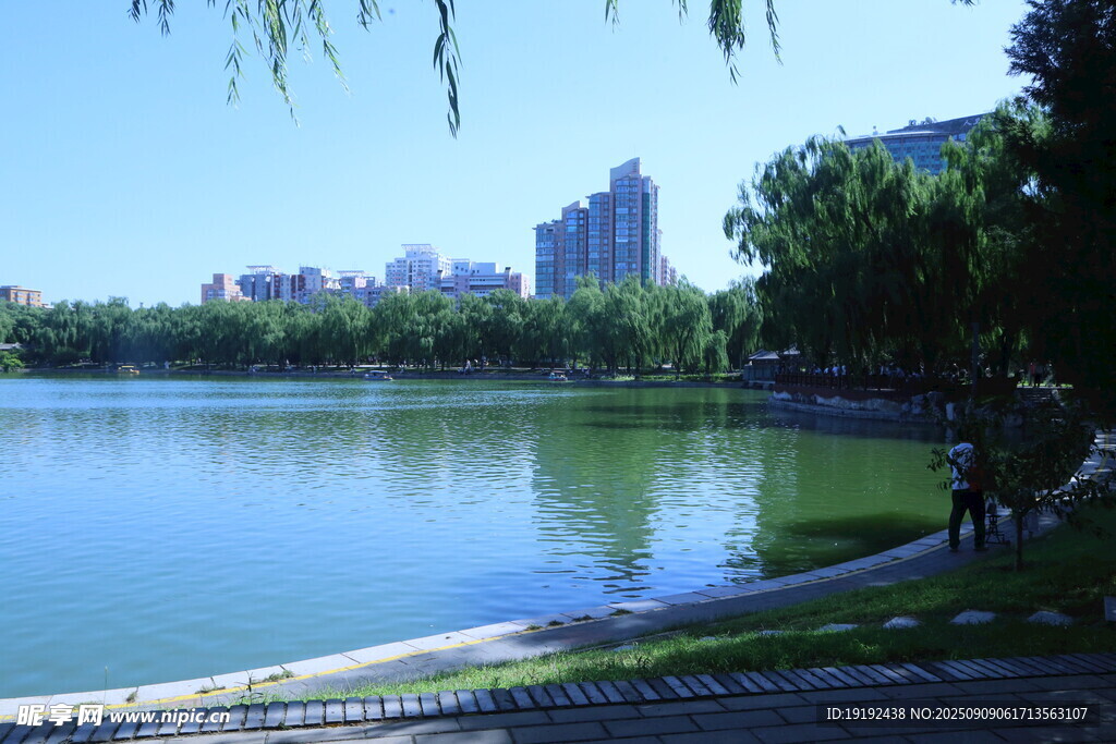 公园风景 