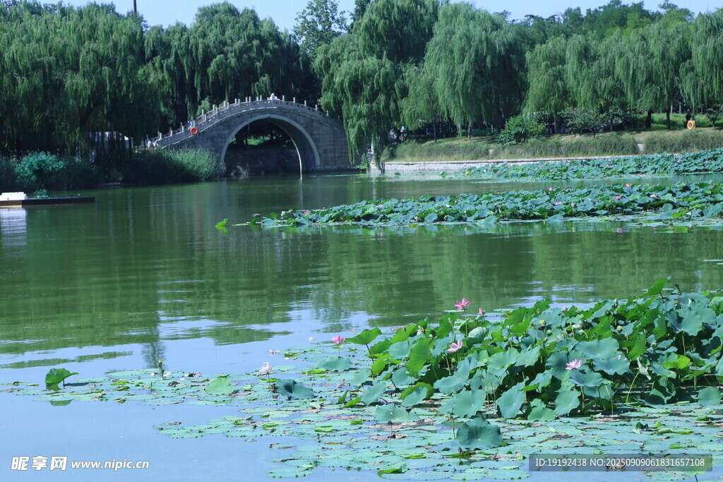 公园风景  