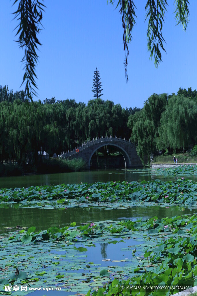 公园风景 