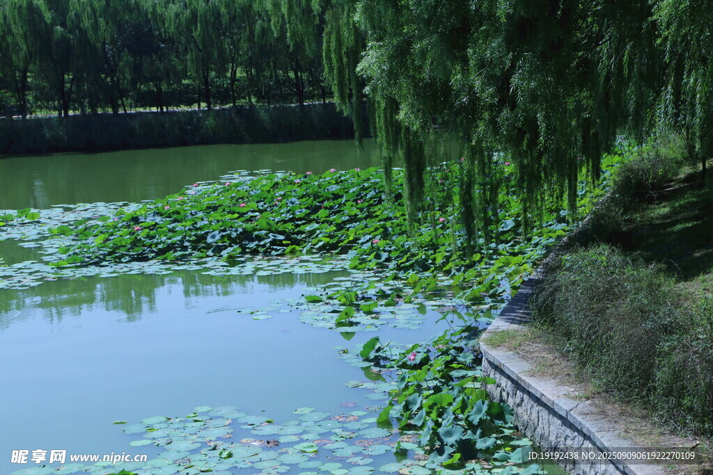 公园风景 