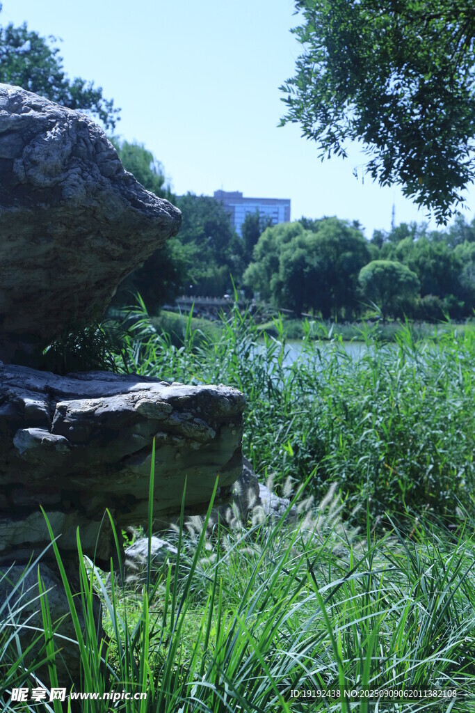 公园风景  