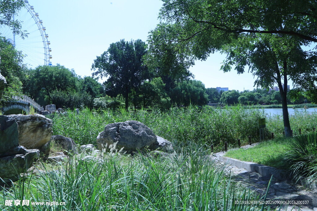 公园风景 