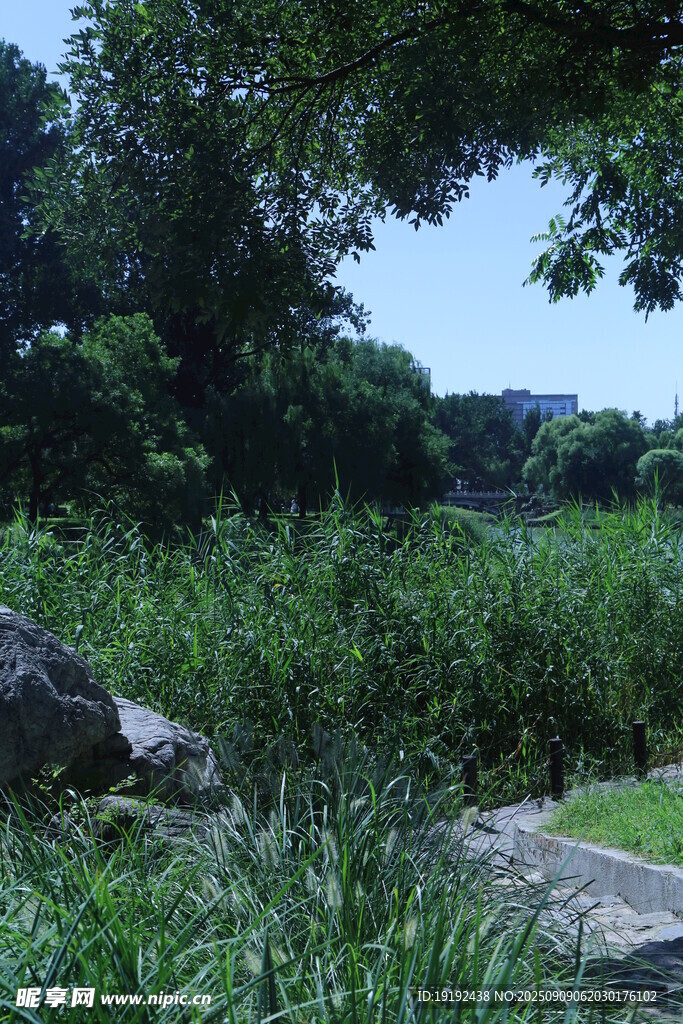 公园风景 