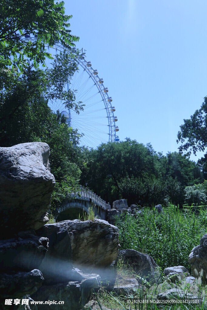 公园风景  