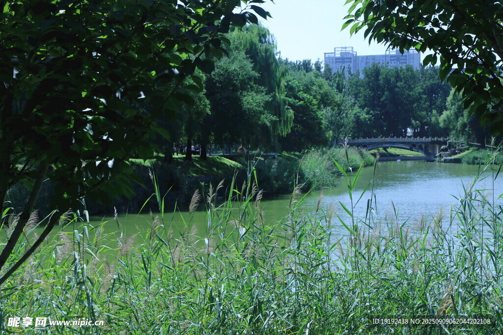 公园风景  