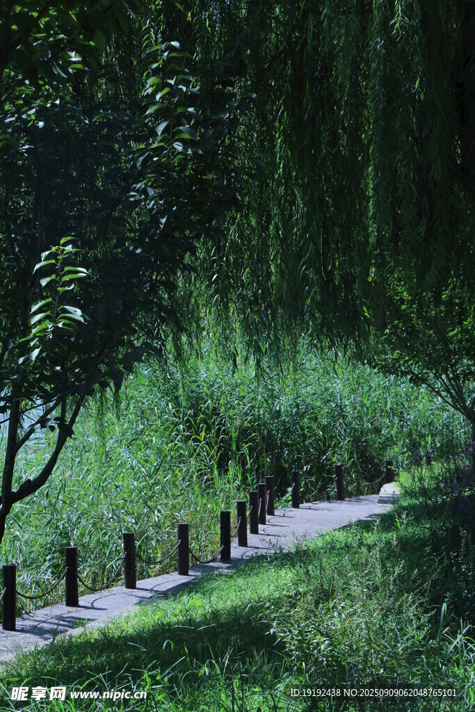 公园风景  