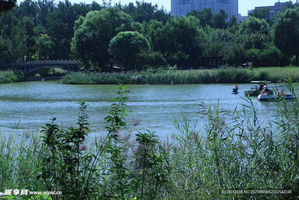公园风景  
