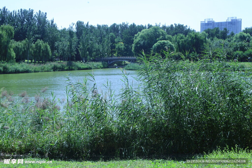 公园风景 