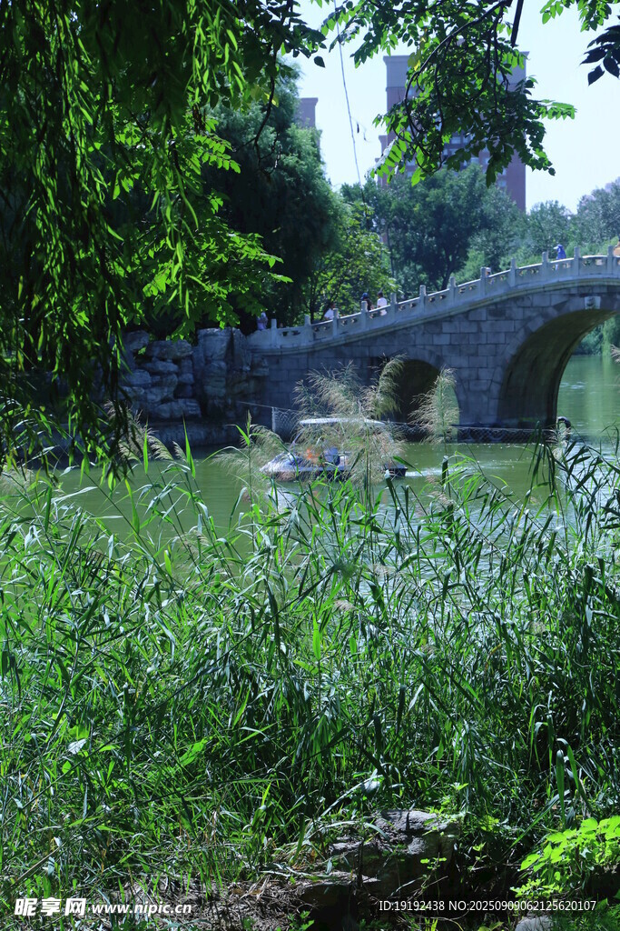 公园风景  