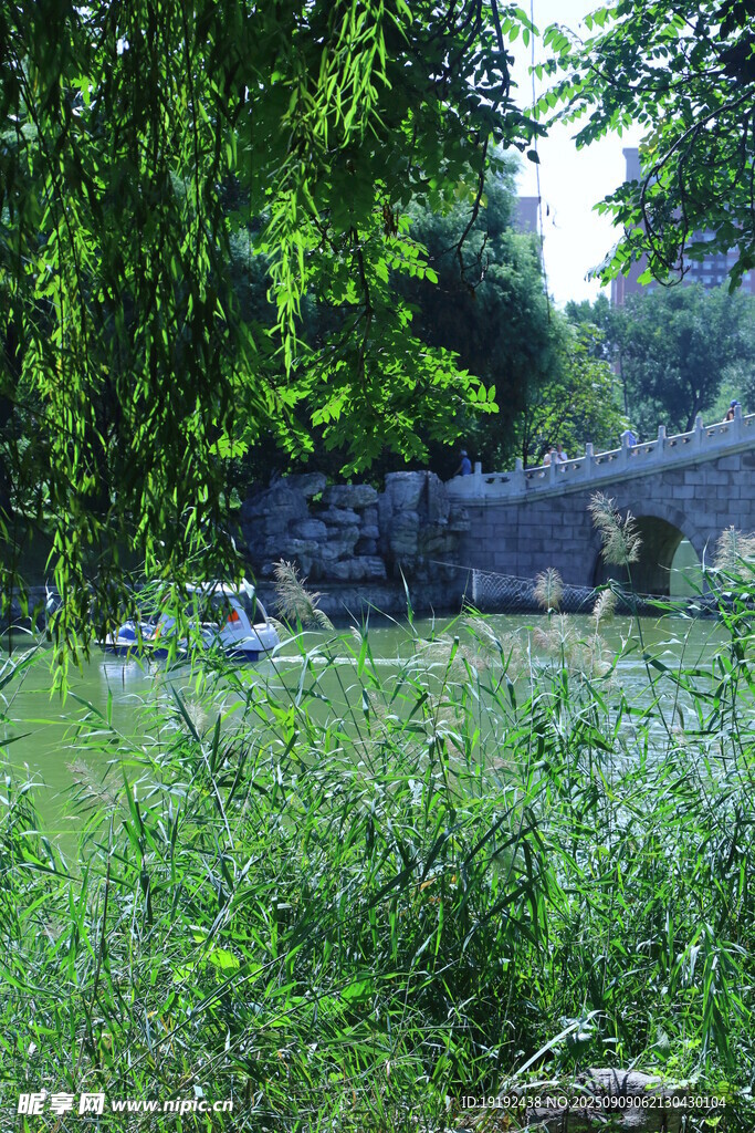 公园风景  