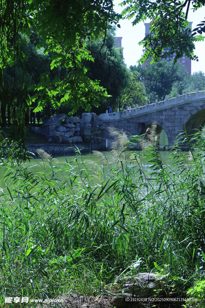 公园风景 