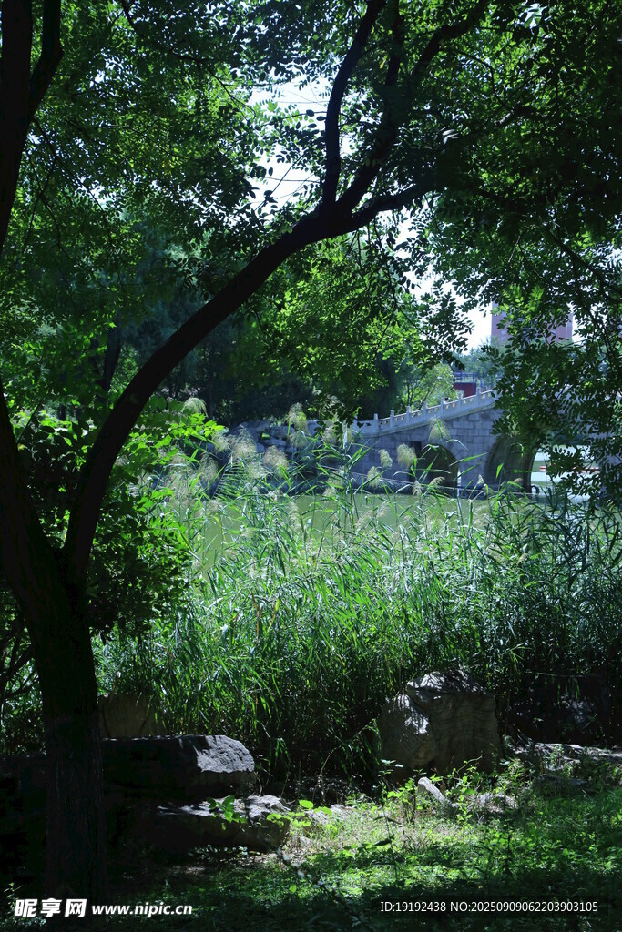 公园风景  