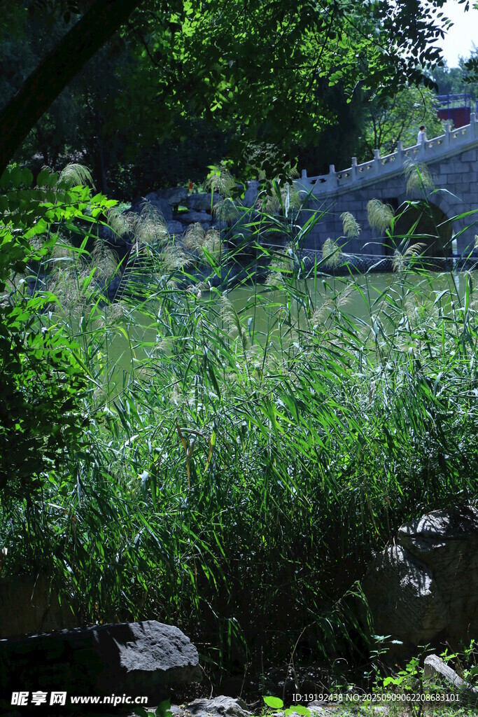 公园风景  