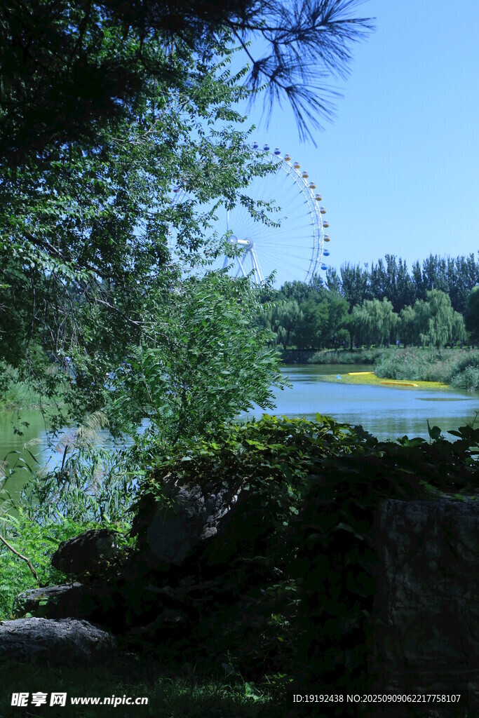 公园风景 