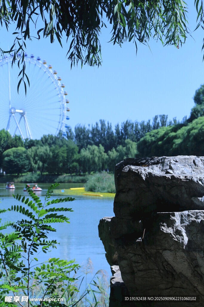 公园风景  