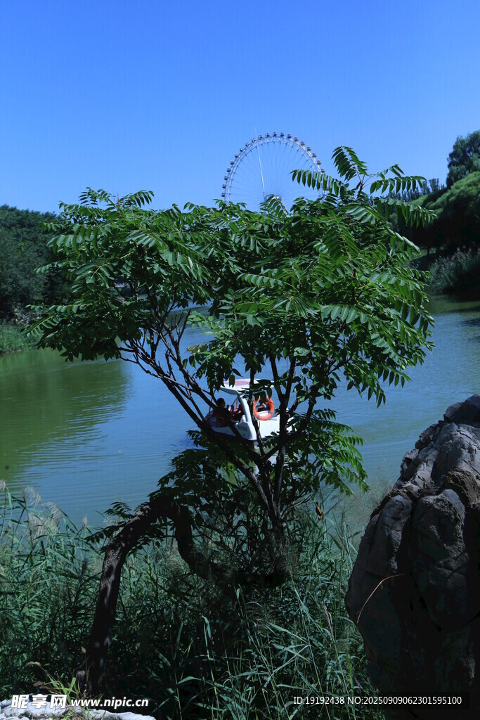 公园风景  
