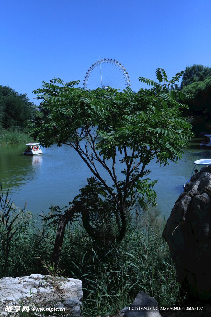 公园风景 