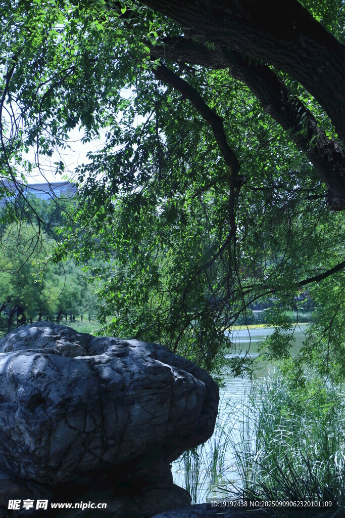 公园风景  