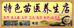 特色苗医养生店招牌