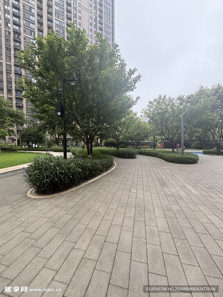 城市广场的绿植与步道