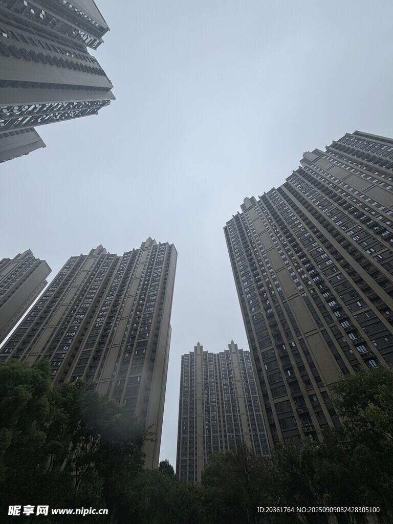 高楼林立的城市景观