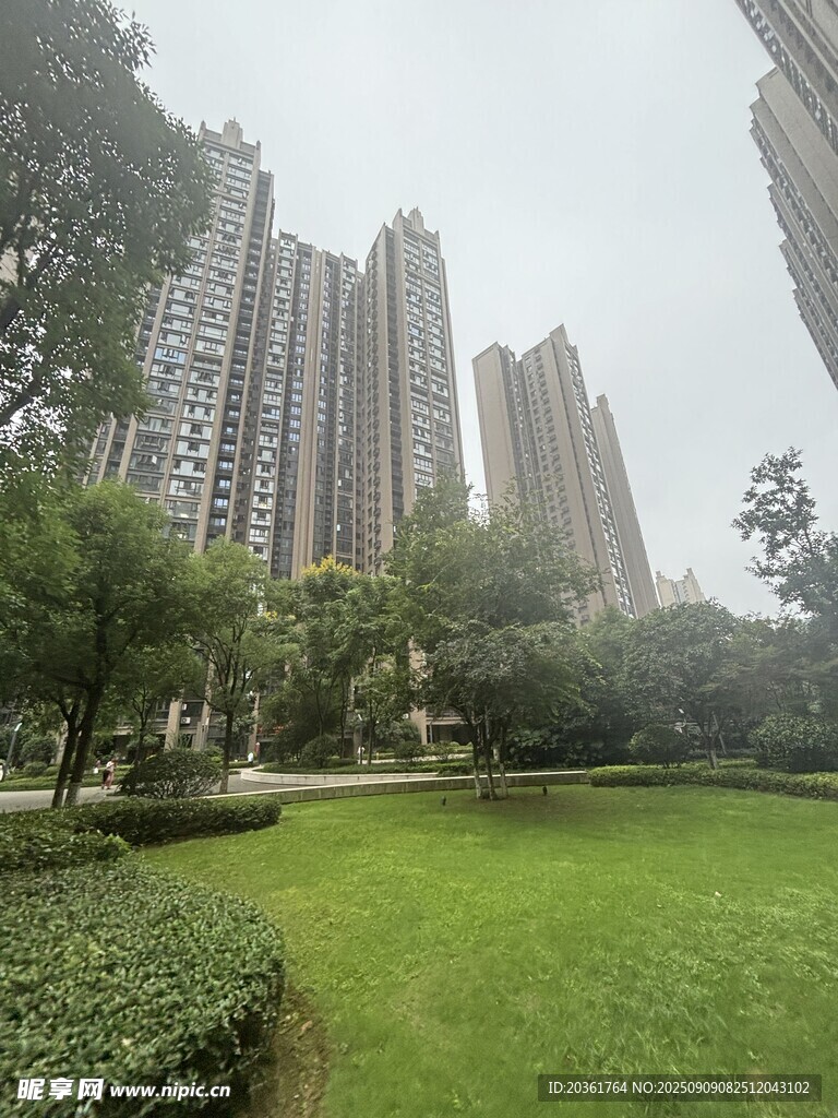 城市中的绿地与高楼景观
