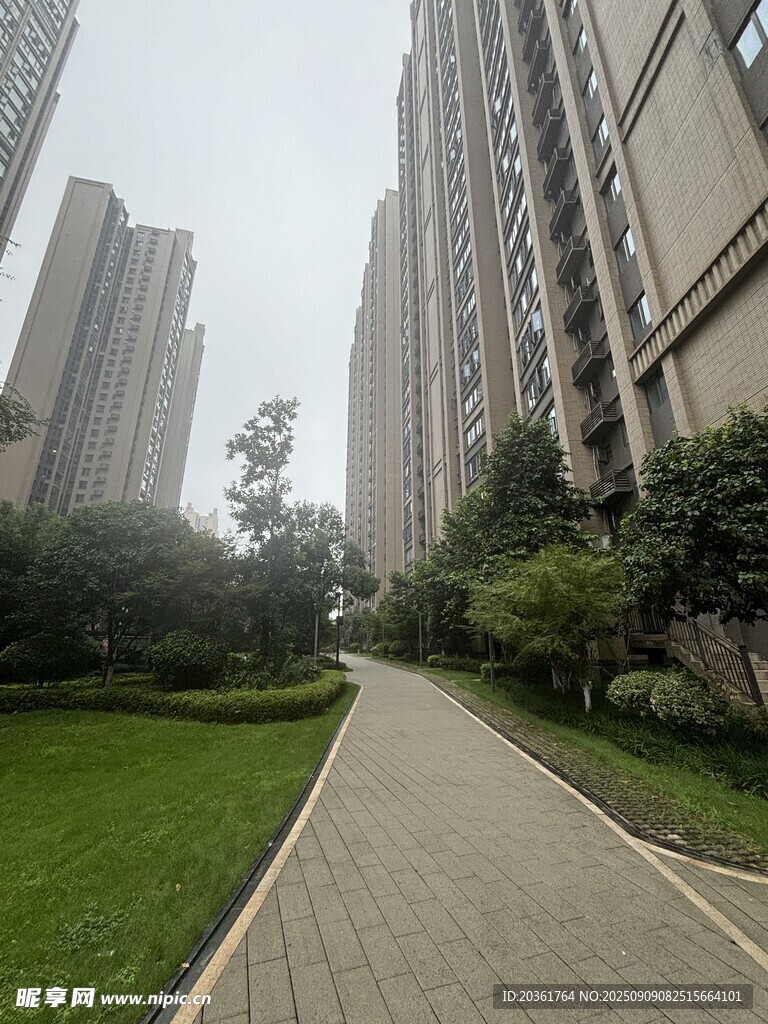 小区内的幽静绿化步道