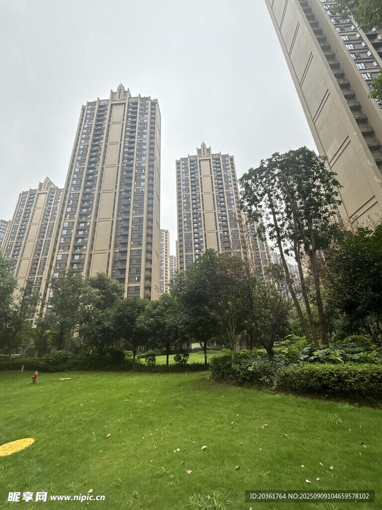 城市中的绿地与高楼景观