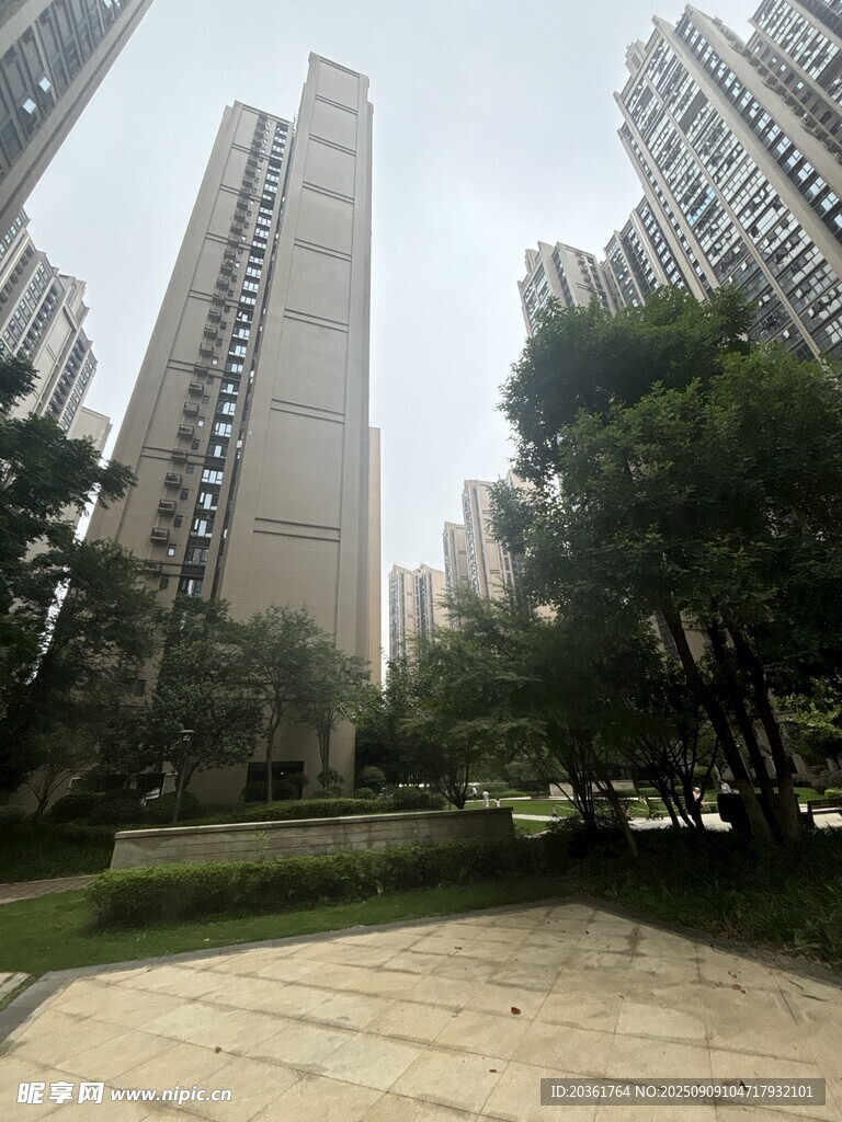 城市高楼旁的绿化景观