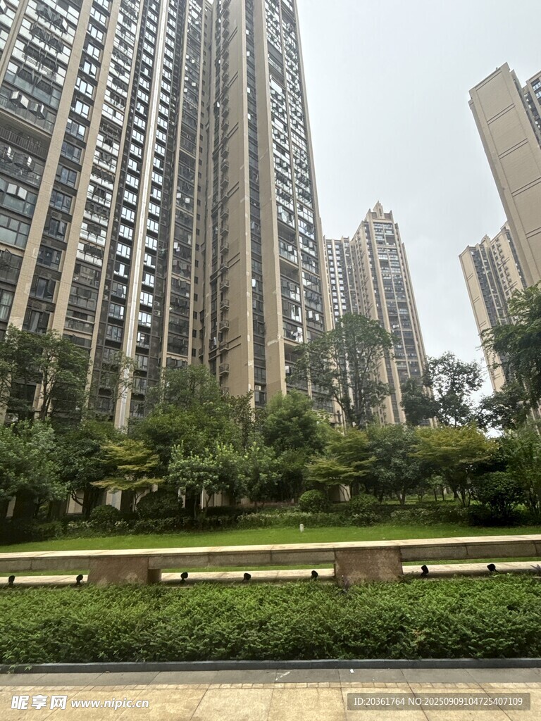 城市高楼与绿植景观