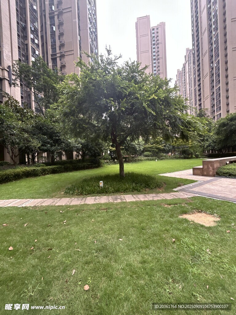 城市中的绿意草坪景观
