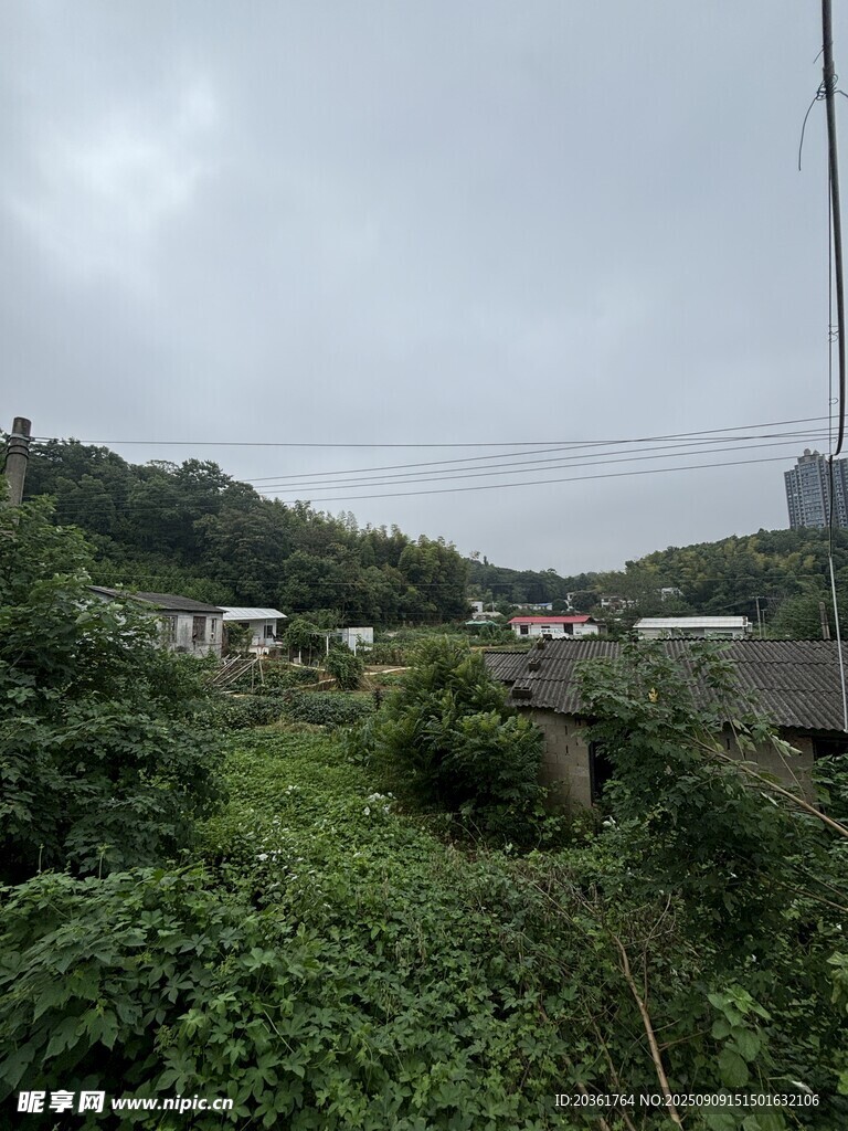 乡村绿意盎然的自然景致