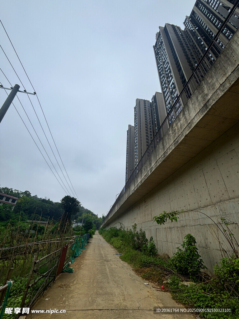 乡村小道旁的高楼建筑