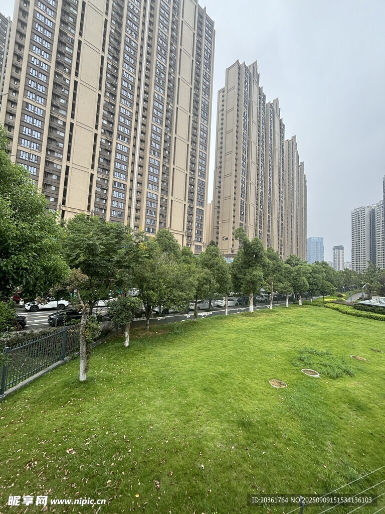 城市中的绿地与高楼景观