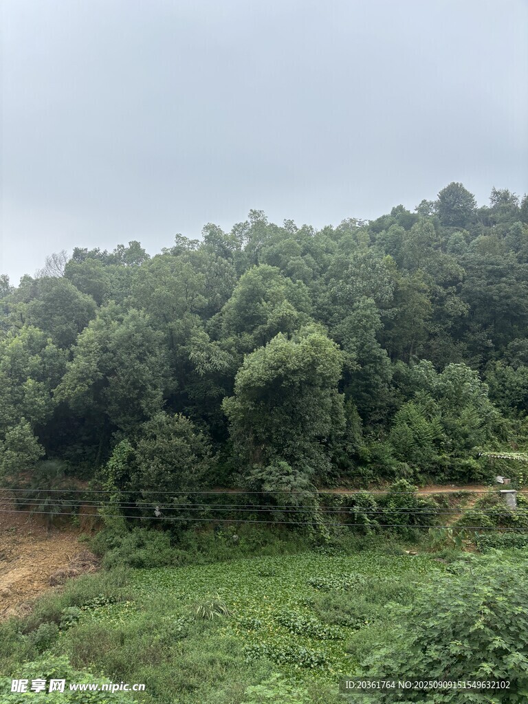 山间绿意盎然的自然景致
