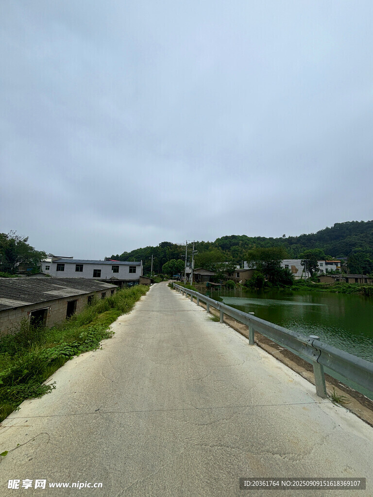 乡村小路旁的宁静景致