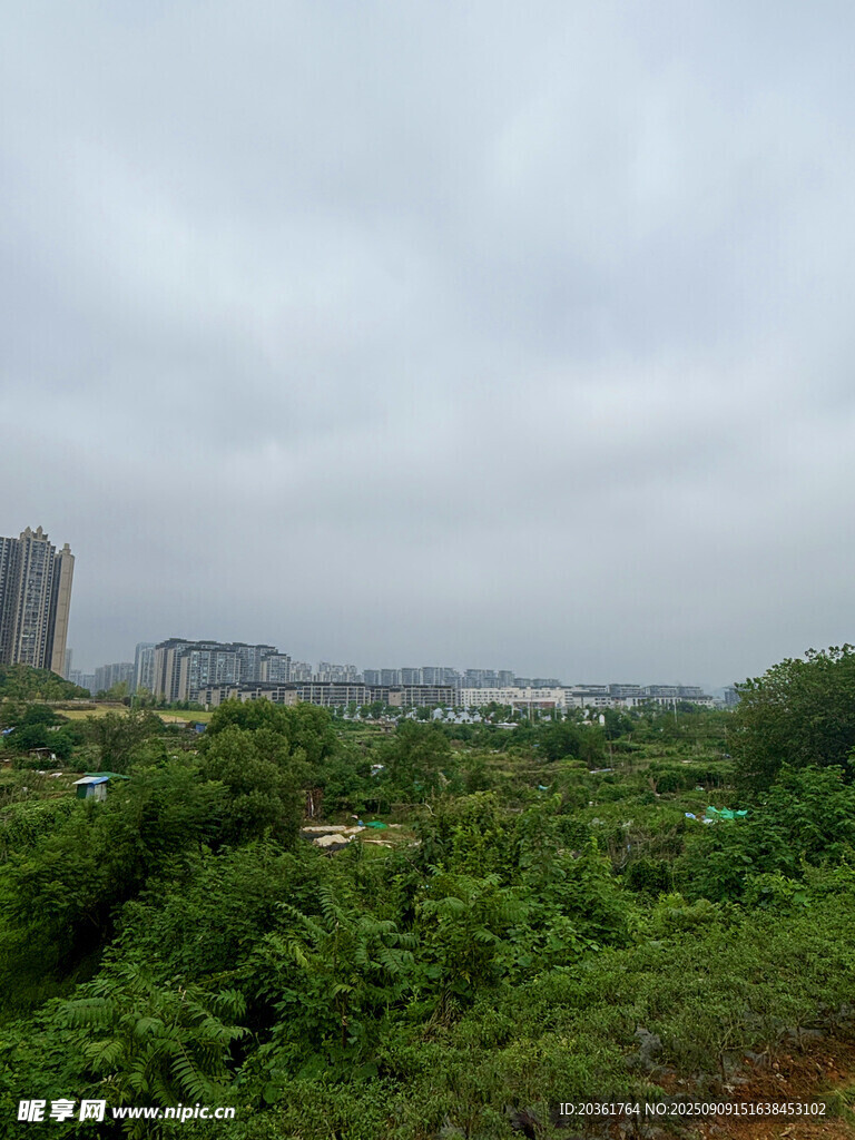 城郊绿意景观