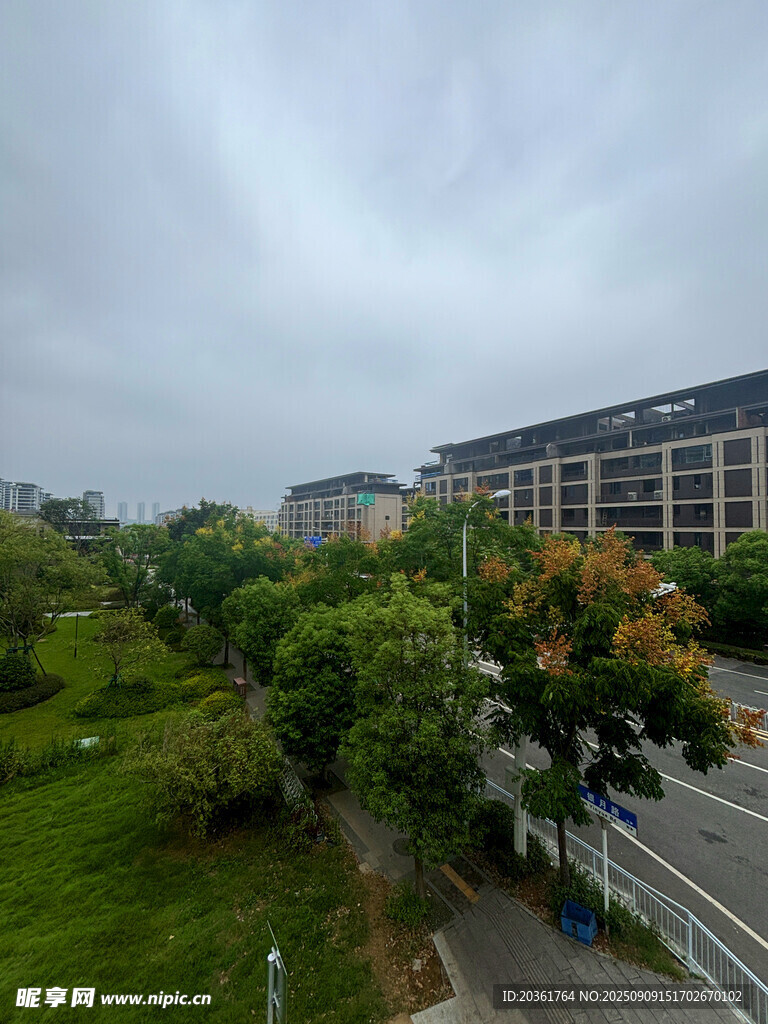 城市中的绿意景观