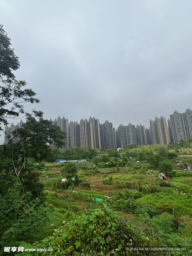 城市边缘的绿植与高楼